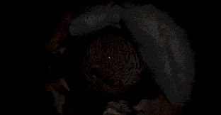 It lives under the house.