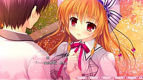 ALIA’s CARNIVAL！