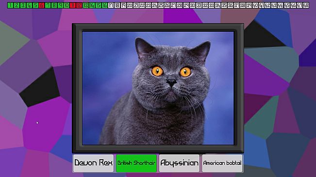 Test your knowledge: Cats