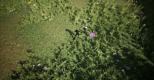 Shades Of Rayna - Damage Type Pets