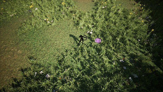 Shades Of Rayna - Damage Type Pets