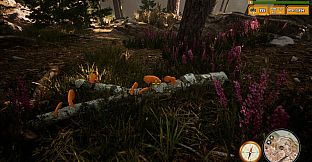 Morels: The Hunt 2 Soundtrack