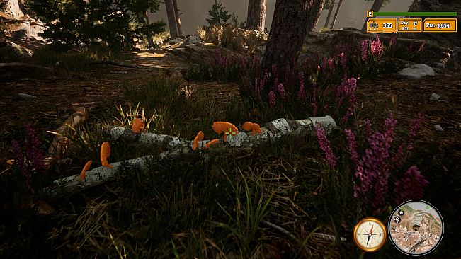 Morels: The Hunt 2 Soundtrack