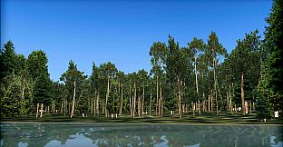 FSX: Steam Edition - Natural Tree Environment X Add-On
