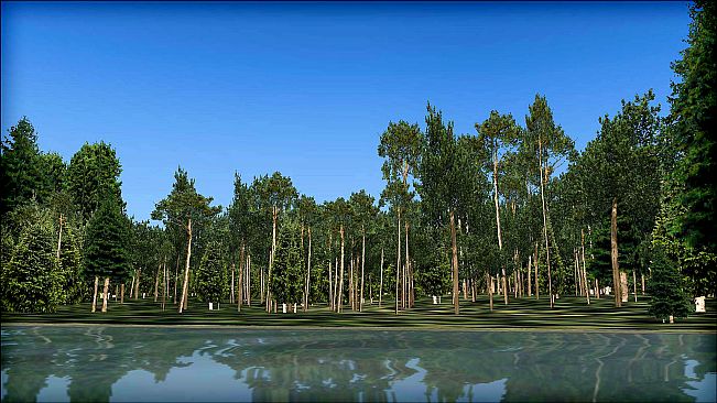 FSX: Steam Edition - Natural Tree Environment X Add-On