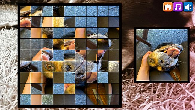 OG Puzzlers: Kira Maus