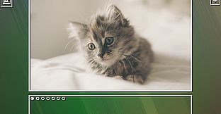 Super Jigsaw Puzzle: Generations - Kittens Puzzles