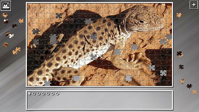 Super Jigsaw Puzzle: Generations - Desert