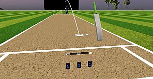 JUST BAT (VR CRICKET)