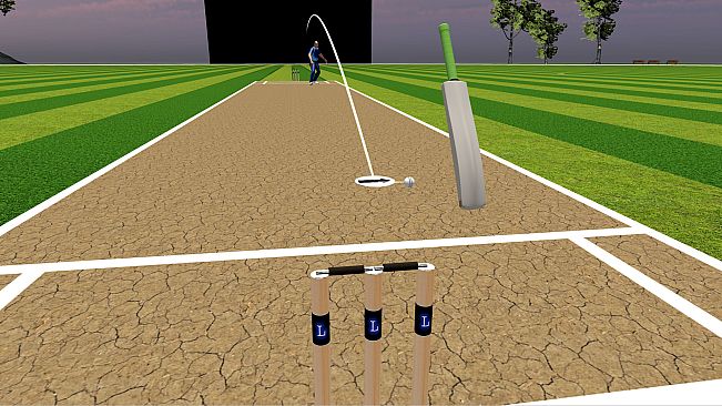 JUST BAT (VR CRICKET)