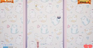 Challenge from the Black Cat