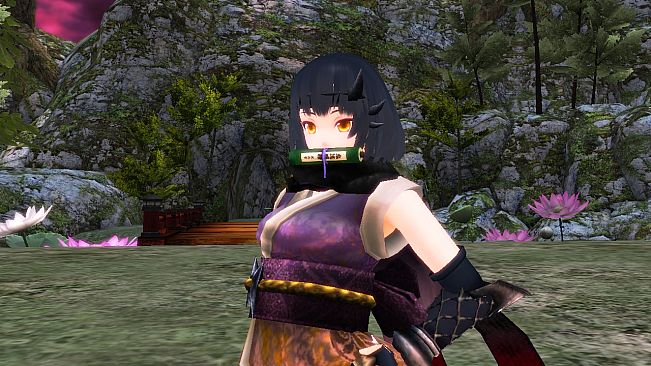 Onigiri Support Pack