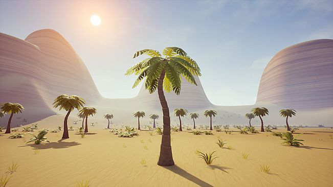 Palm Simulator