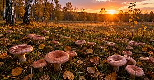 Puzzles Mushroom