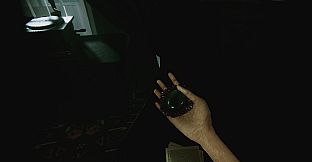 Before the Silence Claims: In Absentia