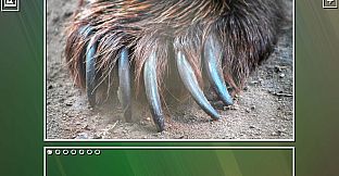 Super Jigsaw Puzzle: Generations - Bears Puzzles