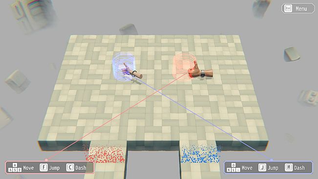 Hypotheses on the Symmetry between Vision and Hands