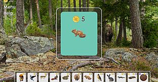 Look and Find - Curiosity