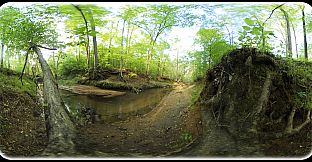 Exhale XR - Magical Woodlands