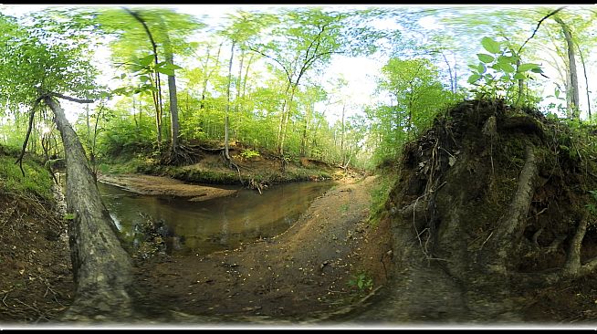 Exhale XR - Magical Woodlands