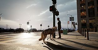 Pigeon Flight Simulator