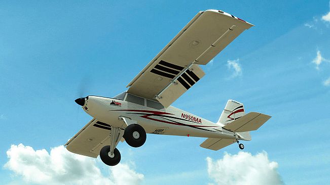 RealFlight Evolution - E-flite Timber 10-year Anniversary Edition 1.5m