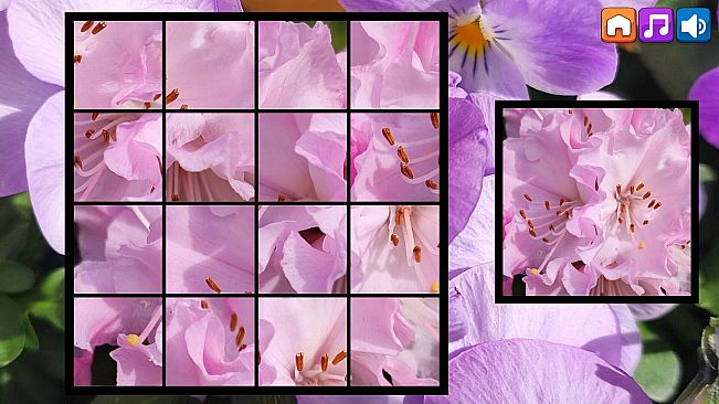 OG Puzzlers: Spring 2K24