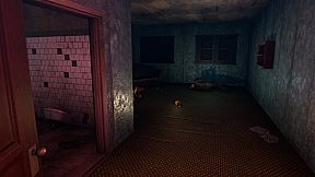 The Sleep Experiment