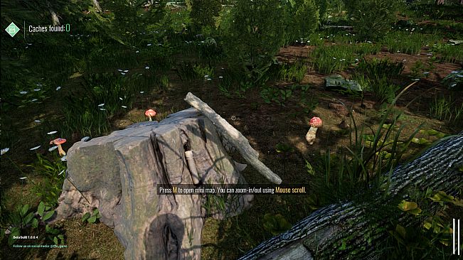 Tales From The Cache