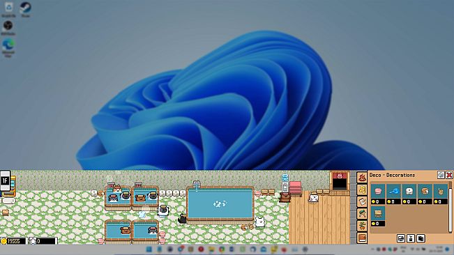 Maltese's Fluffy Onsen