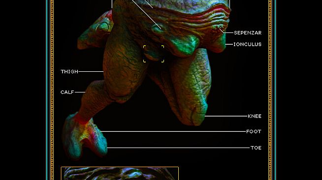 Integument - Database: Gates