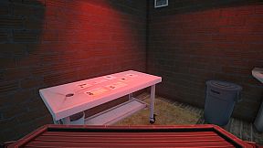 Crime Detective: Red Flags