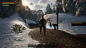 Der Pfad des Pinguins