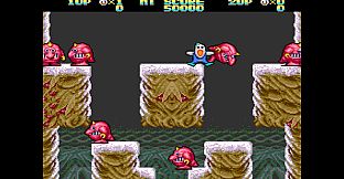 Snow Bros. Classic Collection