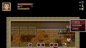 Story Of the Survivor