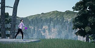 Perfect Round Disc Golf