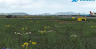 X-Plane 11 - Add-on: FSDG - Graz