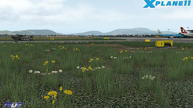 X-Plane 11 - Add-on: FSDG - Graz