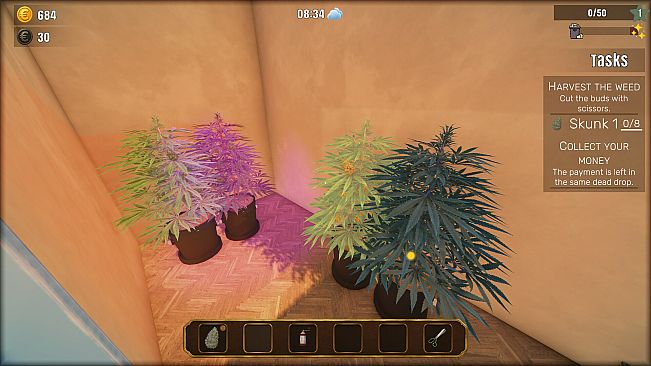 Cash Only
