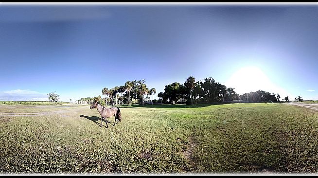 Exhale XR - Majestic Creatures