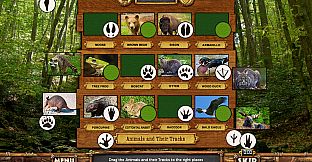 Vacation Adventures: Park Ranger 5