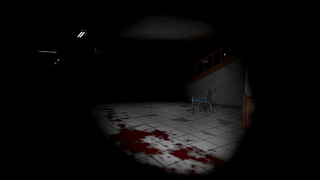 Echo's of the Dark
