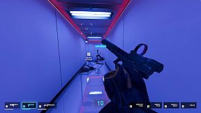 They Killed Your Cat