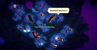 Heaps: Special Interest Sandbox