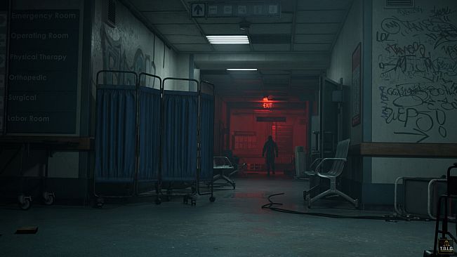 The Backrooms : Lost Guest