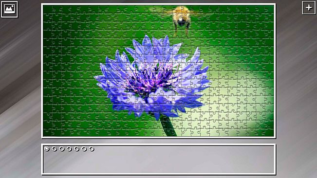 Super Jigsaw Puzzle: Generations - Flowers 2