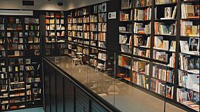 Tokyo Girls Chronicle