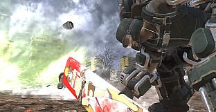 Fencer Weapons:  'OneeChanbara ORIGIN' 'Disguised Body Pillow'.