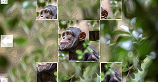 Puzzle Art: Primates