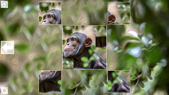 Puzzle Art: Primates